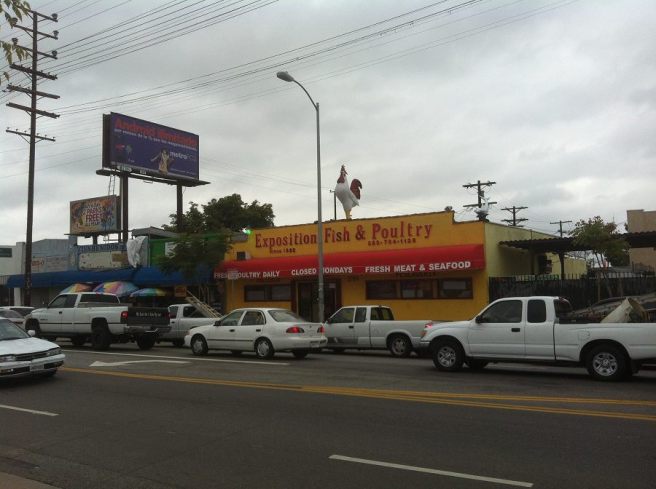 311629_10151077771474643_29003153_n