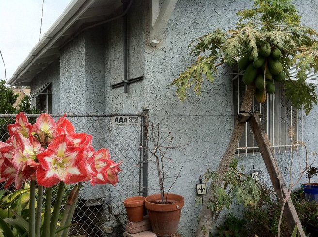 488169_10151077772539643_1477193665_n