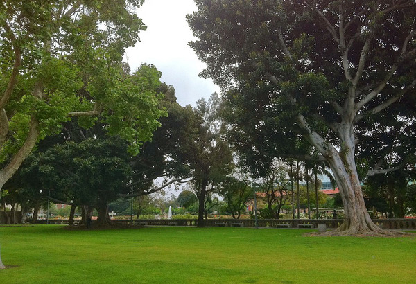 Expo - USC -- Looking toward the Natural History Museum