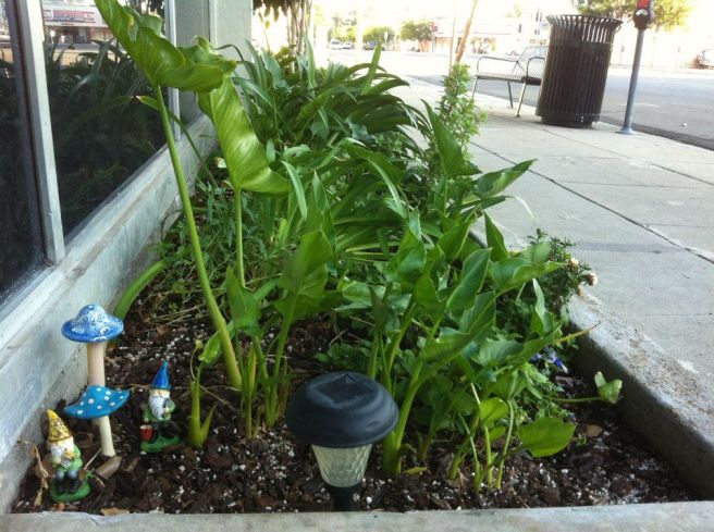 392339_10151077702009643_734515605_n