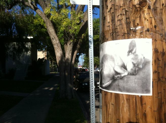 405355_10151077701219643_2118659586_n