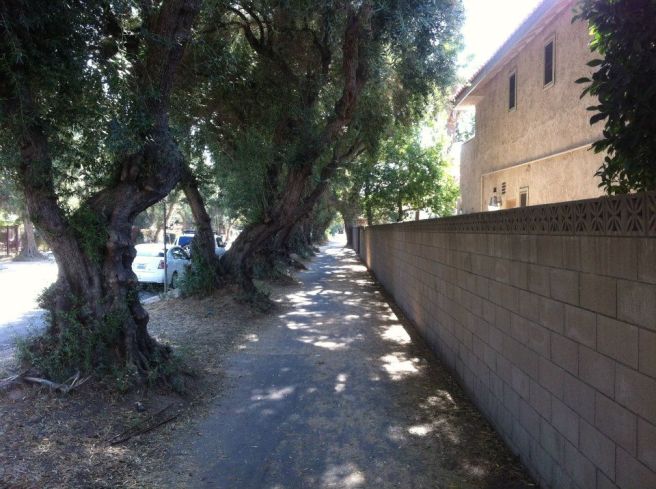 427496_10151077699289643_1279768104_n