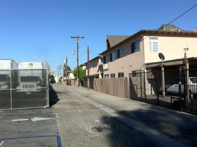 481094_10151077700394643_2143756111_n