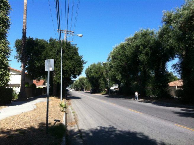 580990_10151077699449643_251319866_n