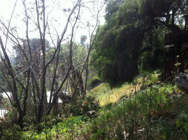 Edendale stairs seen from Loma Vista Place