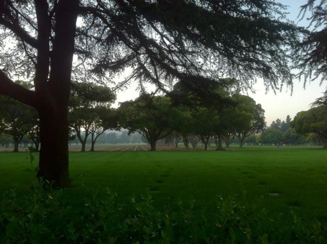 1157511_10151804193464643_1145074419_n