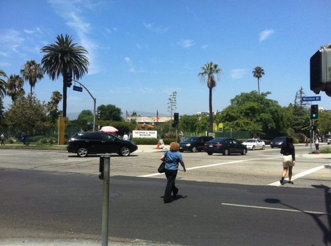 1173796_10151804189609643_2007285097_n