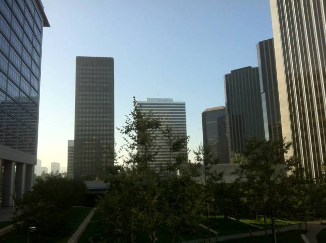 972166_10151804192814643_122766768_n