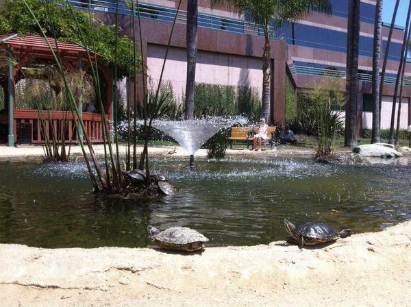 Wilshire-Fairfax - Wilshire Green