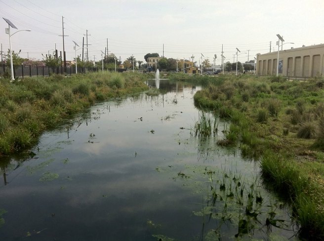 Artificial Wetlands