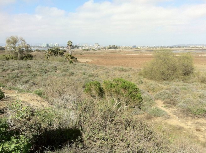 Ballona Wetlands