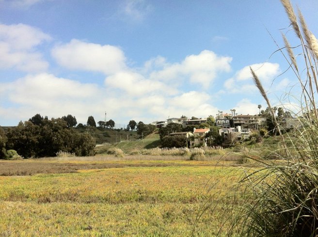 Ballona Wetlands