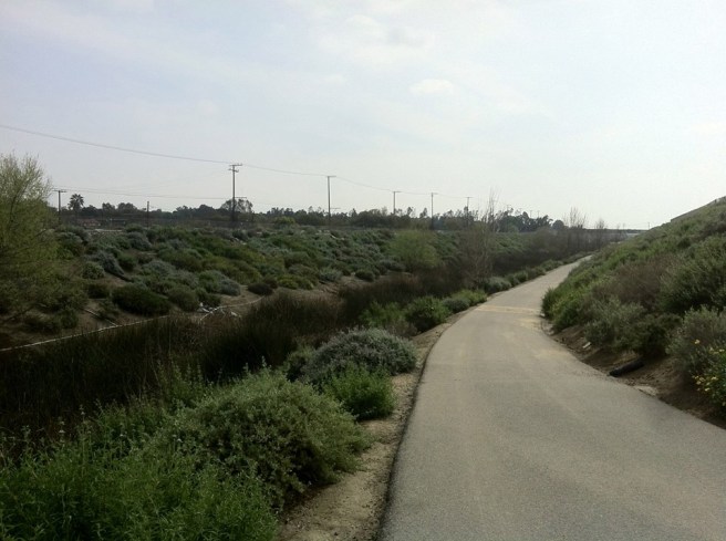 Dominguez Gap Wetlands