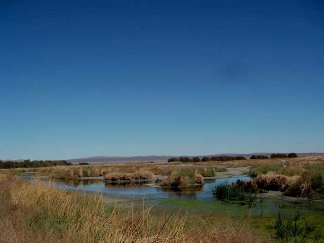 Piute Ponds (credit: Dr. Callyn Yorke)