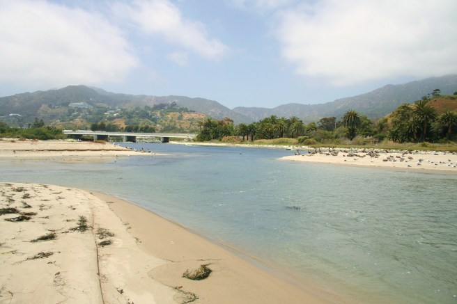 Malibu Lagoon (credit: Malibu Lagoon Restoration Project)