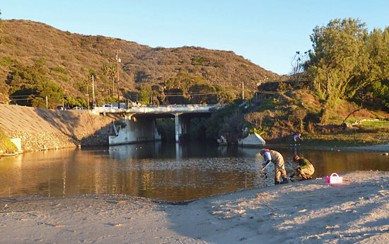 Topanga Lagoon (credit: Rosi Dagit)