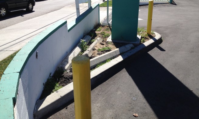 Tiny strip-mall graveyard