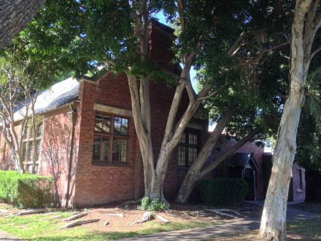 Memorial Branch Library