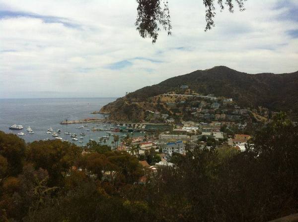 Avalon Beach from the hillside