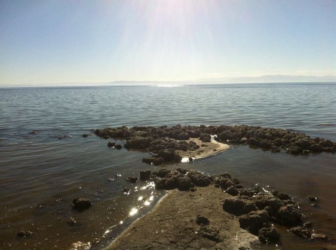 1425633_10152034051964643_2063071895_n