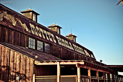 Motte's Romola Farms (image source: Ralph Martinez)