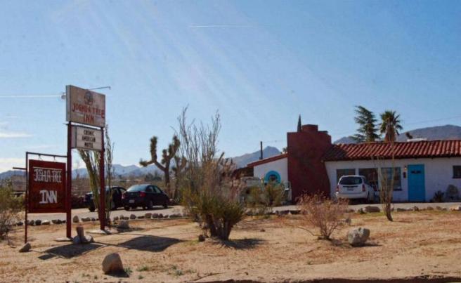 Joshua Tree (Image source: Alex Around the World)