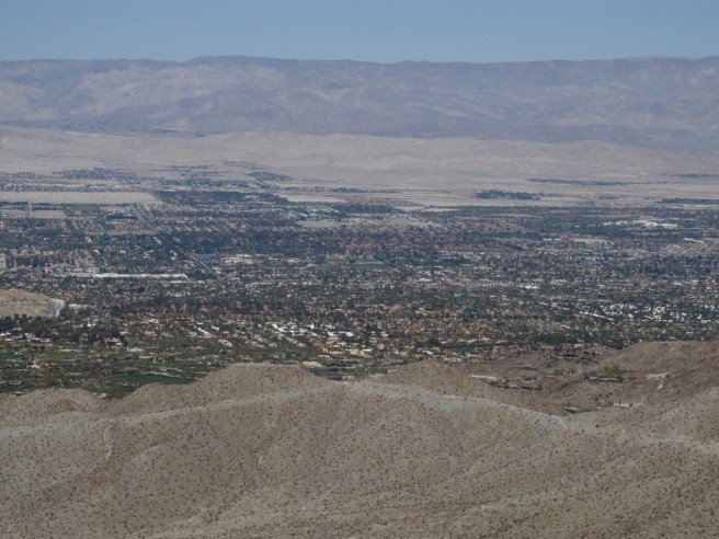 Palm Desert