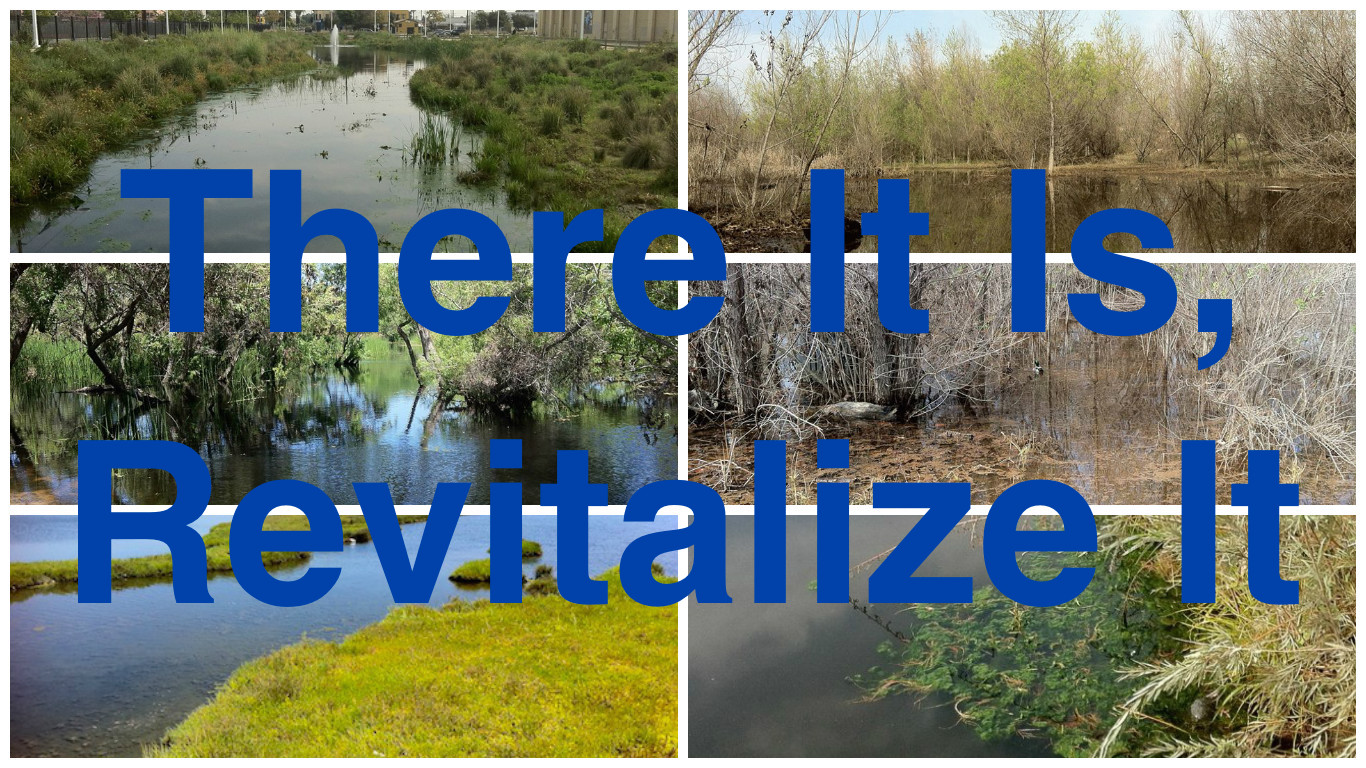 There It Is, Revitalize It