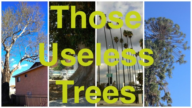 Those Useless Trees