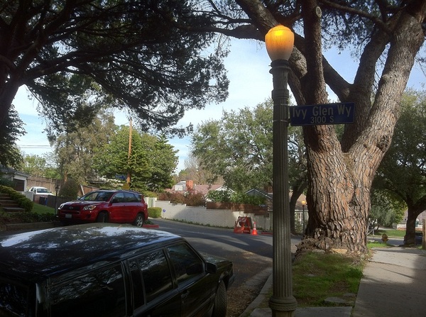 Cheviot Hills street