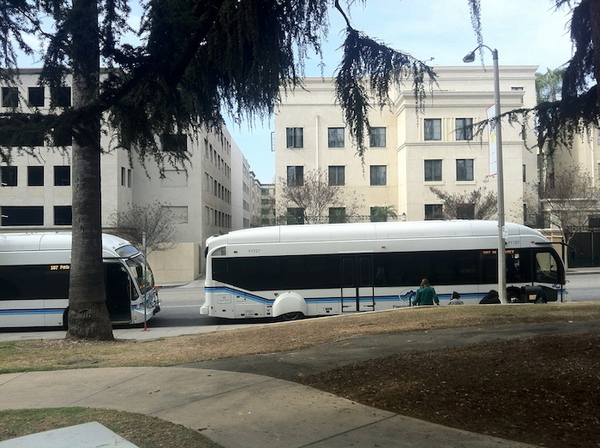 Foothill Transit 187 buses at Pasadena's Memorial Park