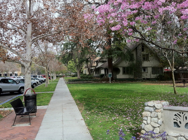 Shelton Park in Claremont
