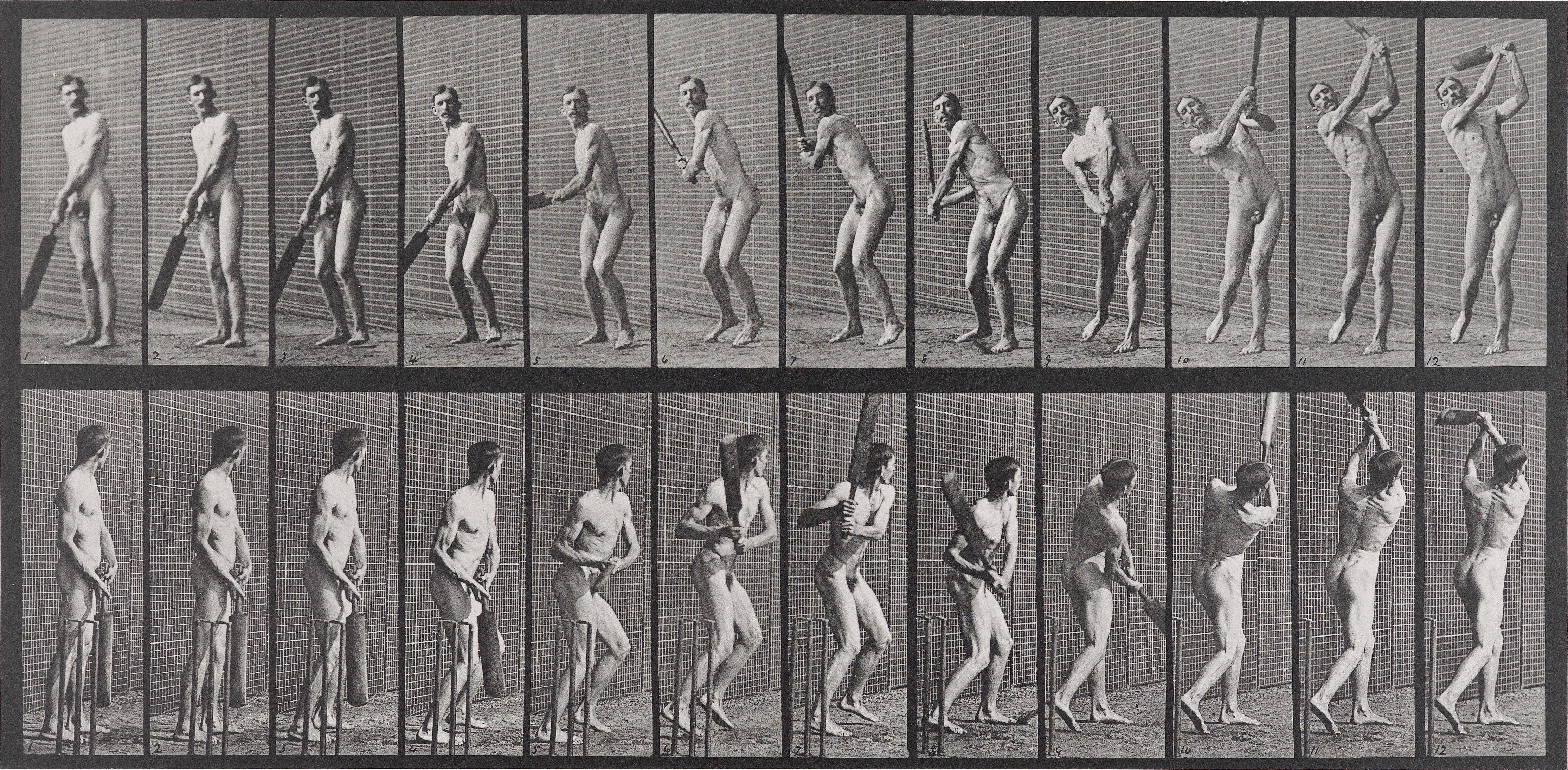 Animal Locomotion Plate 391, Collotypie, 1887