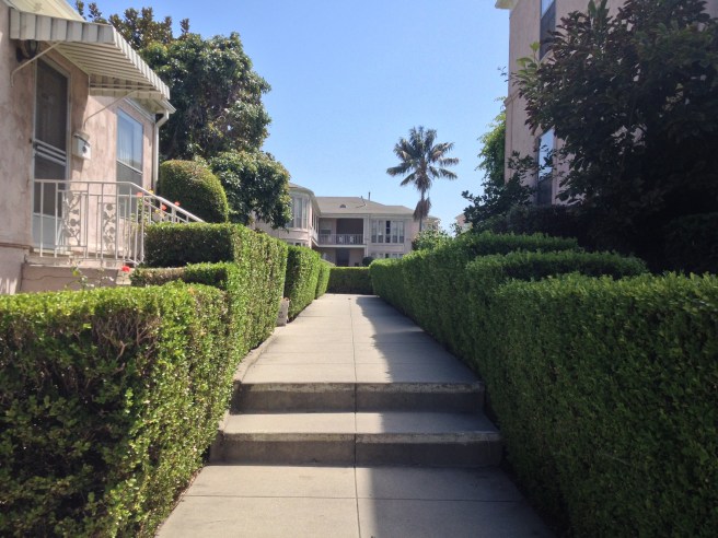 Pretty in pink, isn't she?