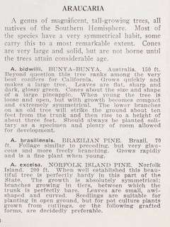 California Nursery Company Catalog 1915