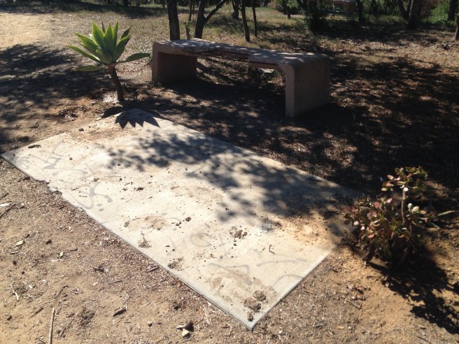 Guerrilla gardening? A crumbling bench