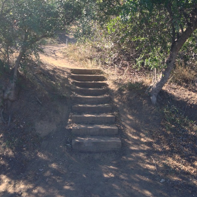 Stairway to a Hooverville