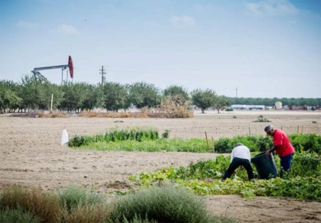 778faba3e3dc8c6c6db24b403da494ae_XL