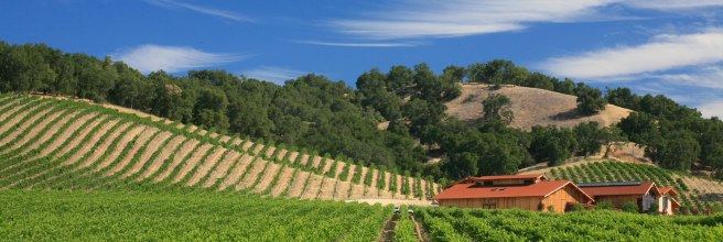 wine-country-banner