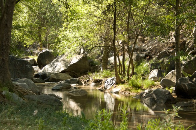 2497028861_5e9d2af28b_o