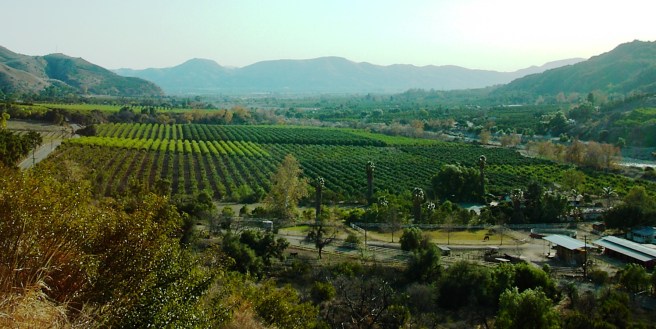 Fillmore,_California_panorama_1