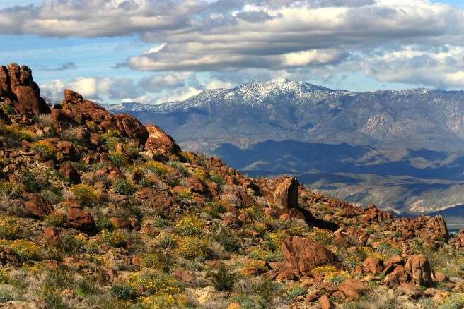 Mountain-View-Anza-Borrego