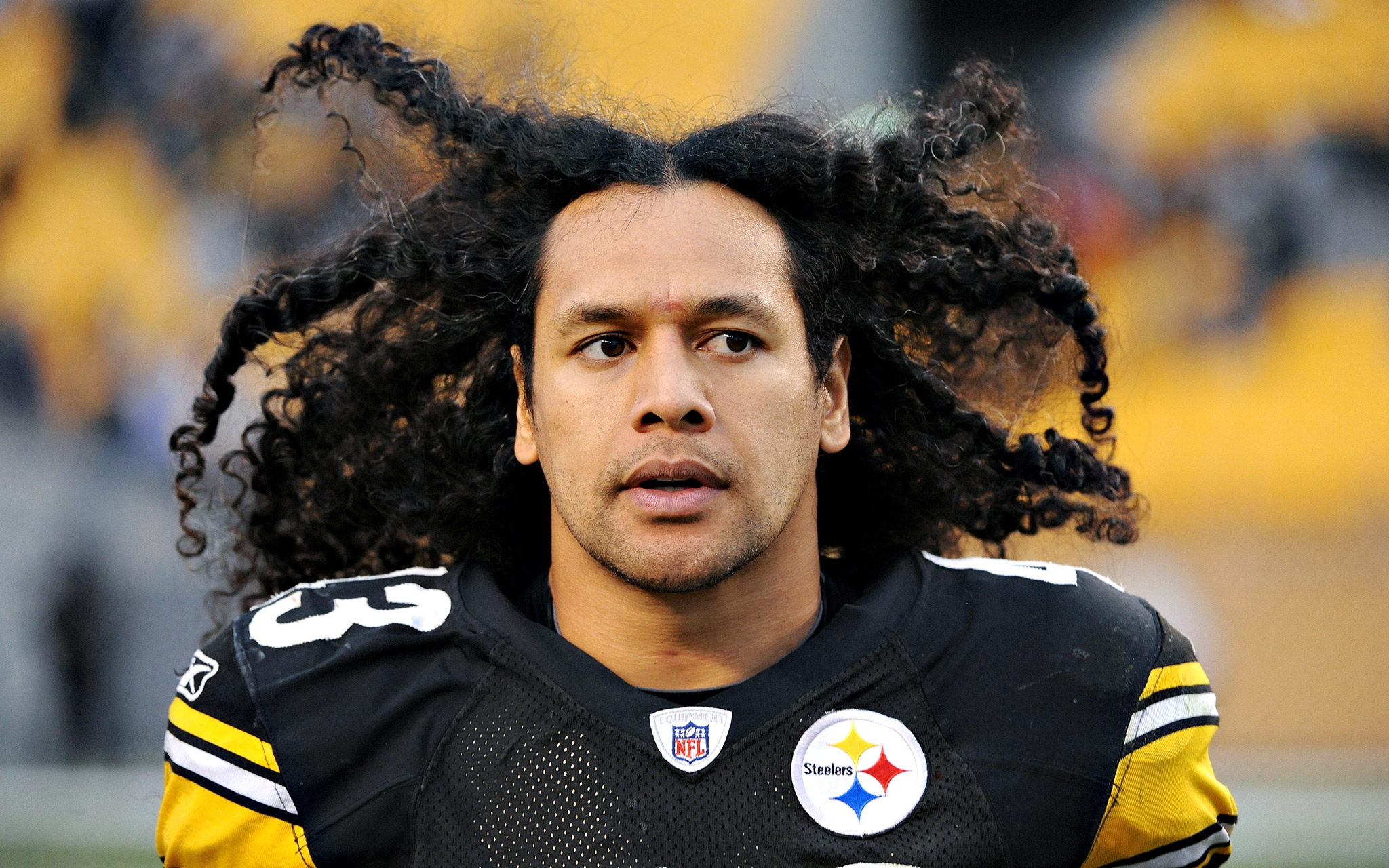 Troy-Polamalu-Net-Worth
