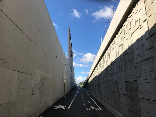 dreaded-bicycle-path