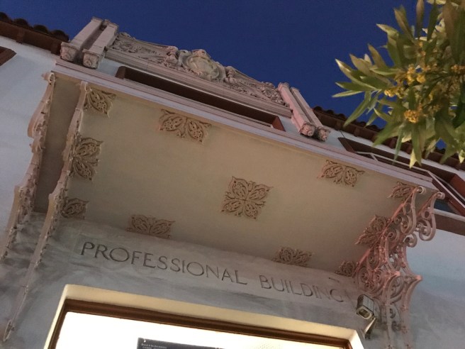 Professional Building