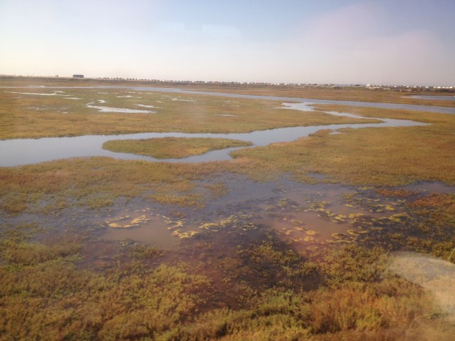 Wetlands view from the train