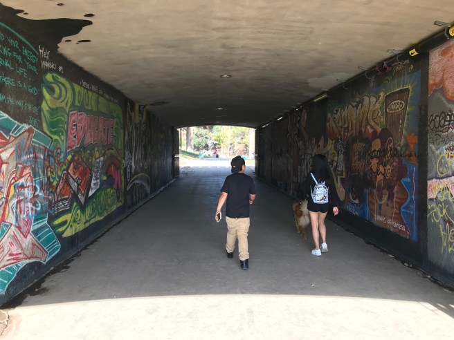 Tunnel and murals