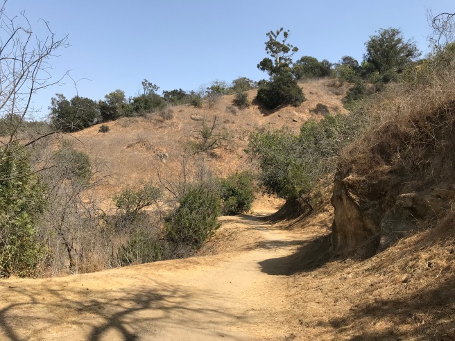 Other side trail.jpg