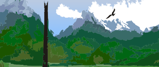 800px-Orthanc.svg