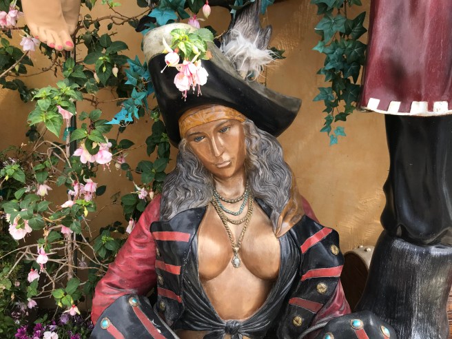 Busty pirate